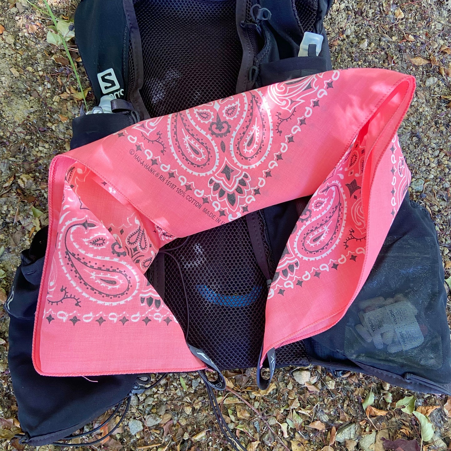 Electric Strawberry Yeti Ice Bandana