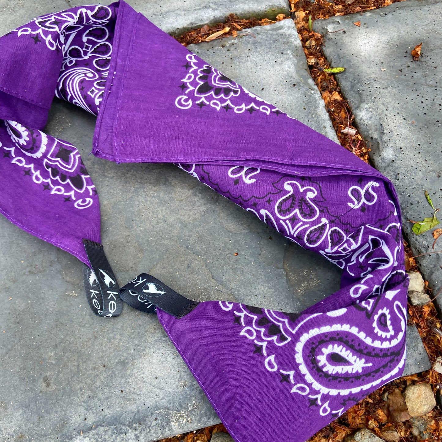 Professor Plum Yeti Ice Bandana