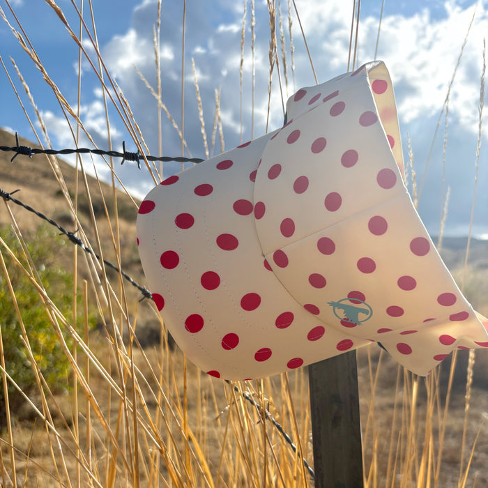 Dotty
