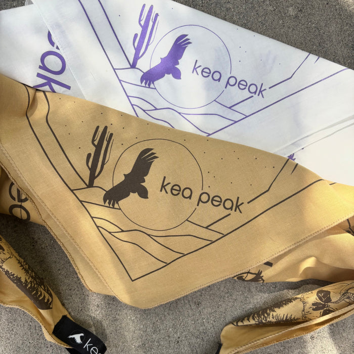 Lost in the Desert Yeti Ice Bandana