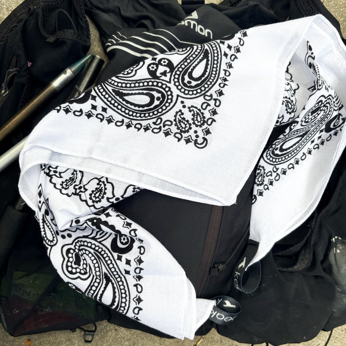 Vanilla Ice Yeti Ice Bandana