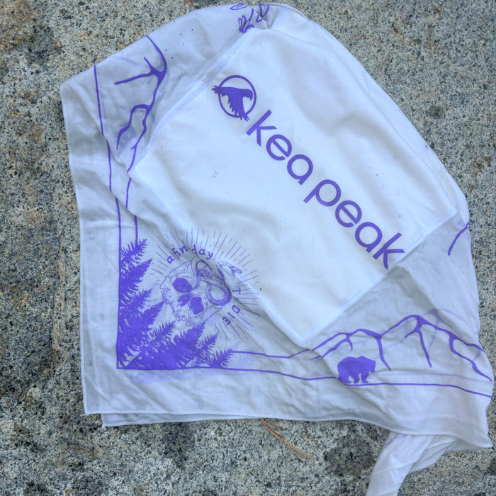 Fine Day Skull Yeti Ice Bandana