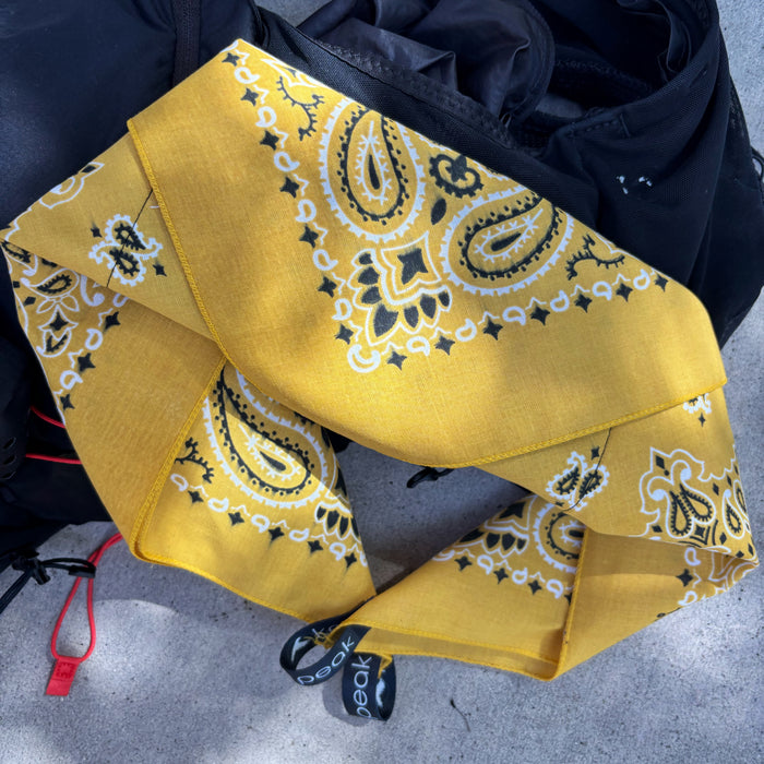 Golden Goose Yeti Ice Bandana
