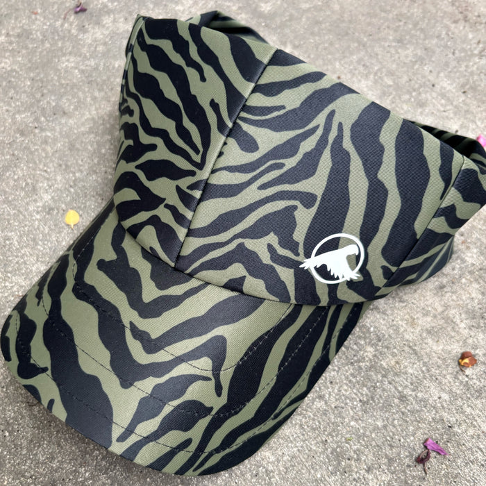 Wild Zebra