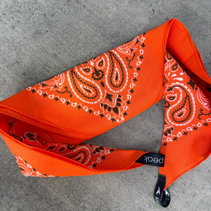 Orange Slice Yeti Ice Bandana
