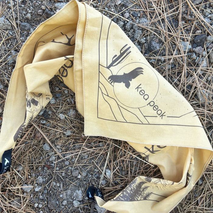 Lost in the Desert Yeti Ice Bandana