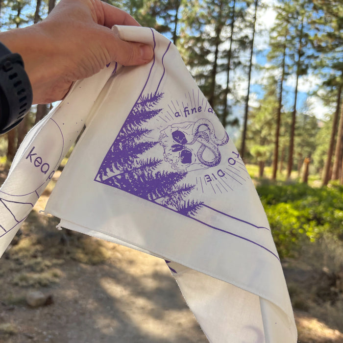 Fine Day Skull Yeti Ice Bandana