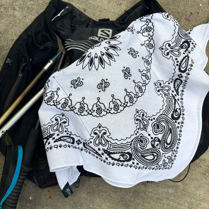 Vanilla Ice Yeti Ice Bandana