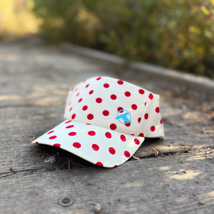 Dotty
