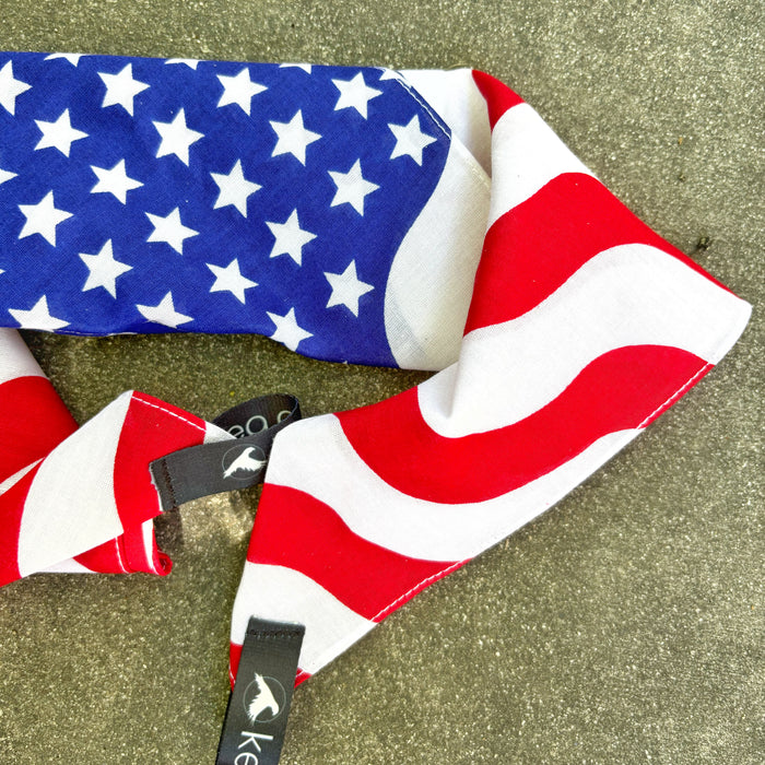 Starla Ice Bandana